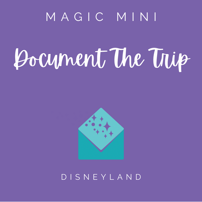 Disneyland Document The Trip Magic Mini